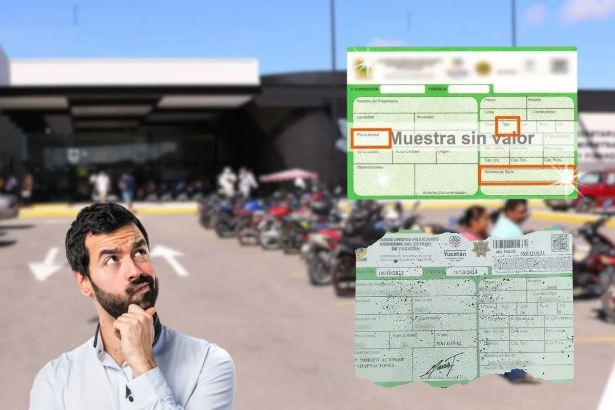 ¿Cuáles es la multas por no actualizar la tarjeta de circulación? Foto: Freepic | SSP