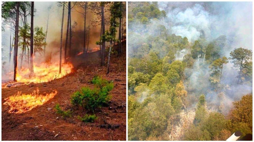 La razón por la que los incendios forestales se adelantan en Durango en el 2025