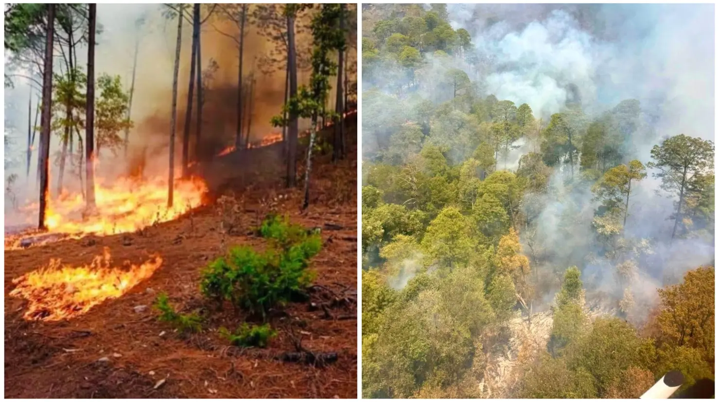 Foto: Incendios forestales en Durango | SRNyMA en Facebook.