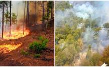 La razón por la que los incendios forestales se adelantan en Durango en el 2025