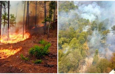 La razón por la que los incendios forestales se adelantan en Durango en el 2025