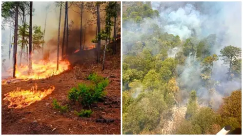 La razón por la que los incendios forestales se adelantan en Durango en el 2025