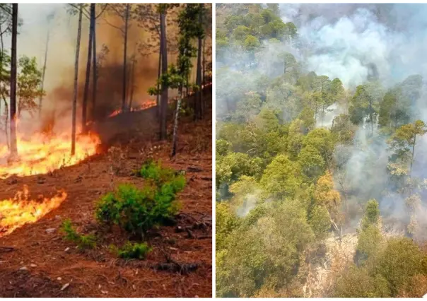 La razón por la que los incendios forestales se adelantan en Durango en el 2025