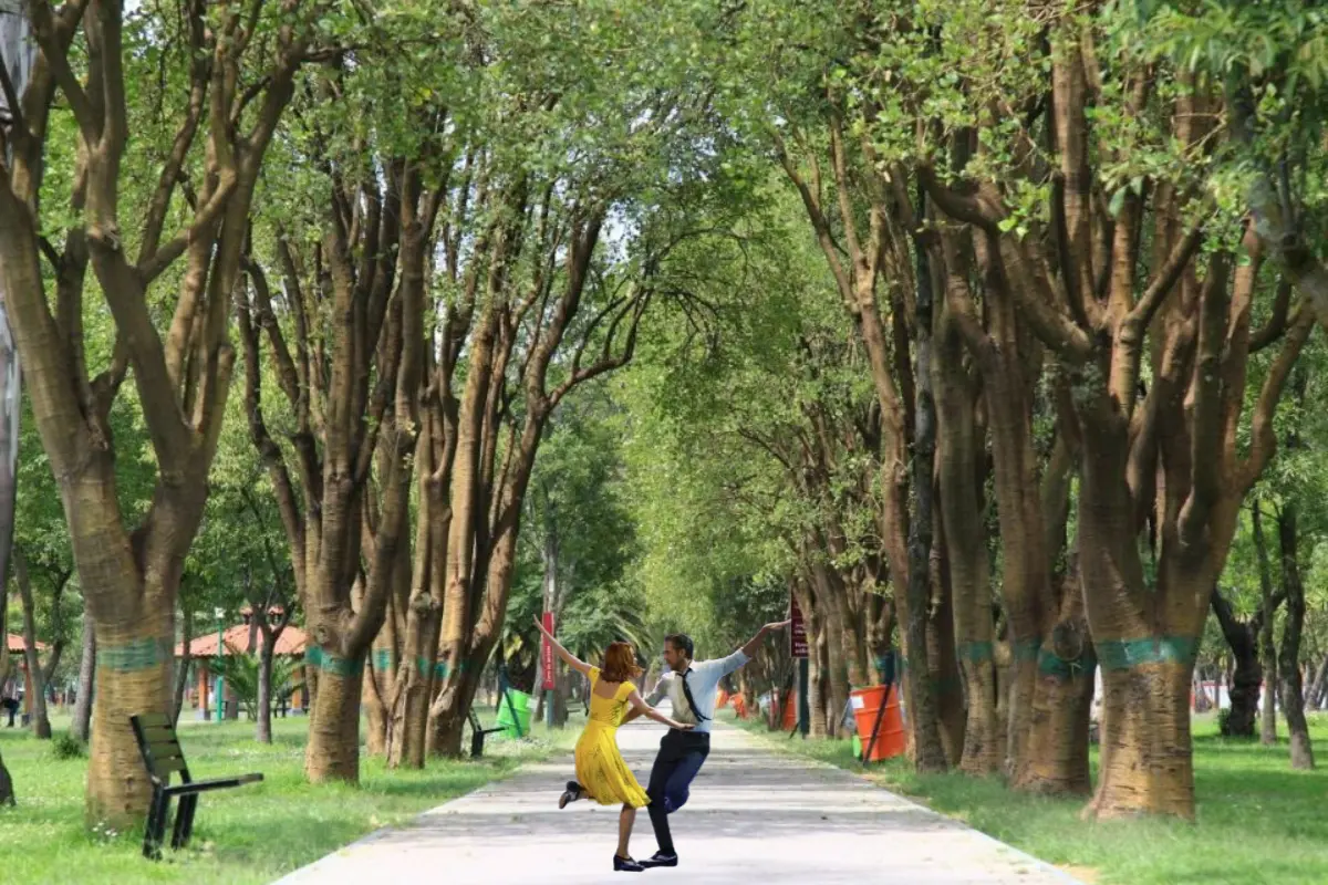 Bosque de Aragón y Protagonistas de La la land. Foto: Gobierno CDMX y traveler | Canva