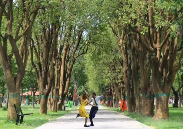 ¿San Valentín rompió tu corazón? Disfruta de una proyección de La La Land en los bosques de Chapultepec