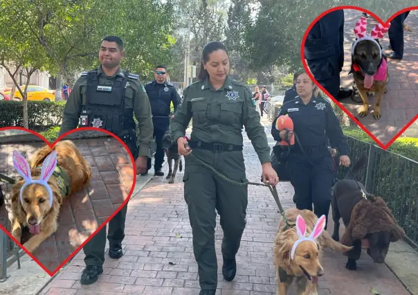 San Valentín en Saltillo: Perritos policía regalan peluches a ciudadanos 