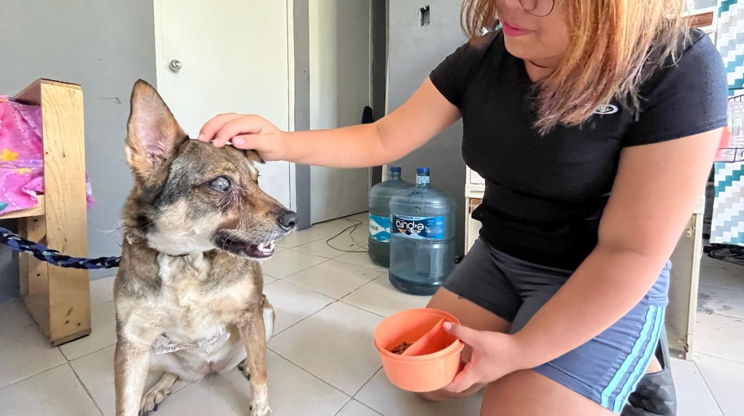 Esta familia busca ayudar a su perrita y salvarle la vida. Foto: Daniel Rodríguez 