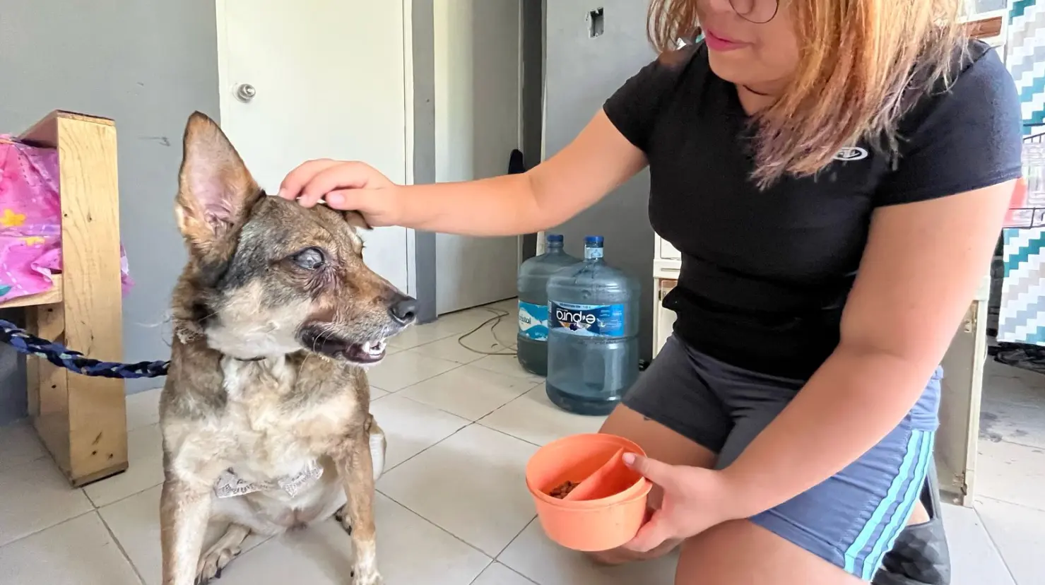 Esta familia busca ayudar a su perrita y salvarle la vida. Foto: Daniel Rodríguez