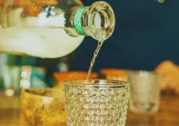 Sotol patrimonio intangible de Coahuila, de la planta a la bebida