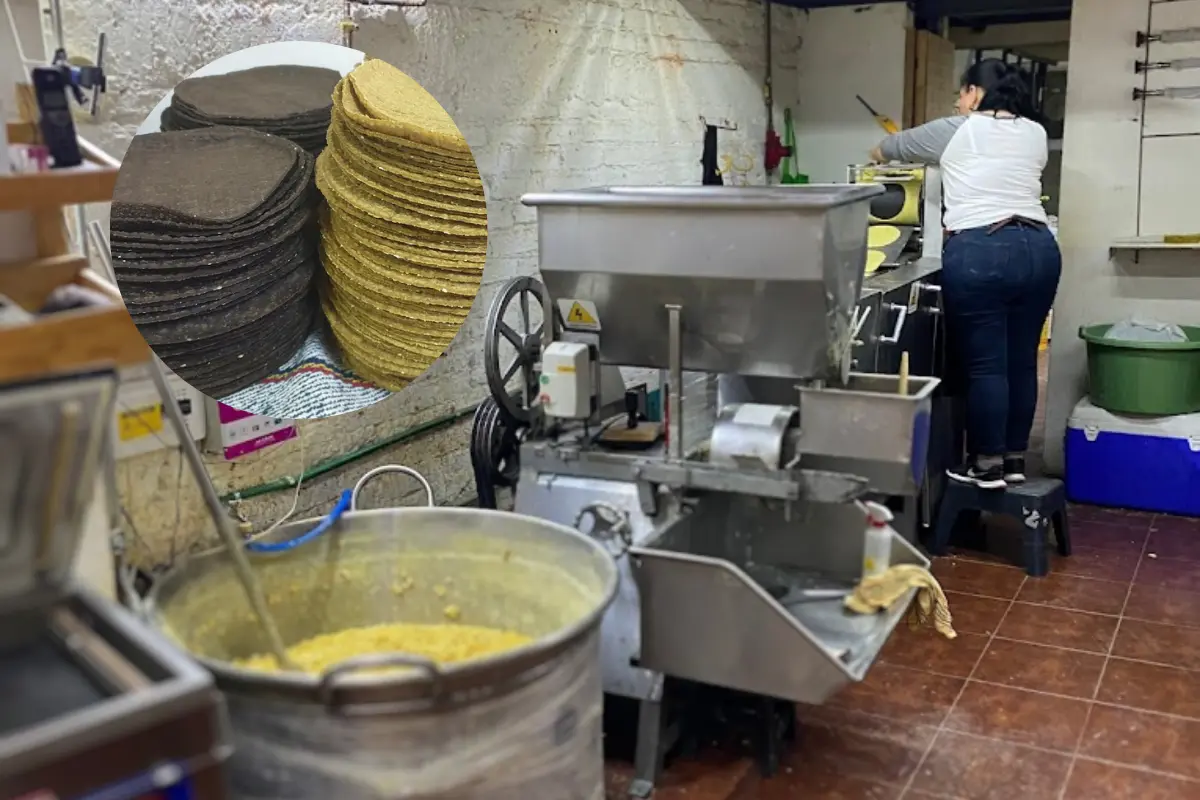 De fondo persona haciendo tortillas, tortillas de maíz. Foto: Maps @aydogan | @magnus