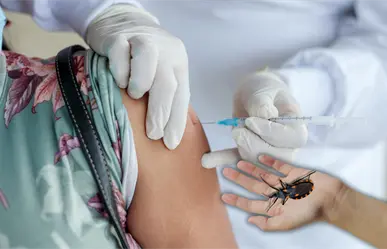 Vacuna contra el mal de Chagas en Yucatán: ¿En qué consiste la tercera fase?
