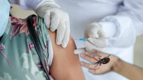 Vacuna contra el mal de Chagas en Yucatán: ¿En qué consiste la tercera fase?