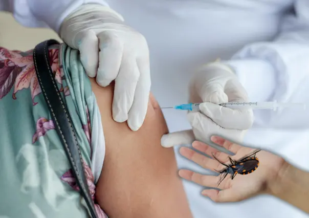Vacuna contra el mal de Chagas en Yucatán: ¿En qué consiste la tercera fase?