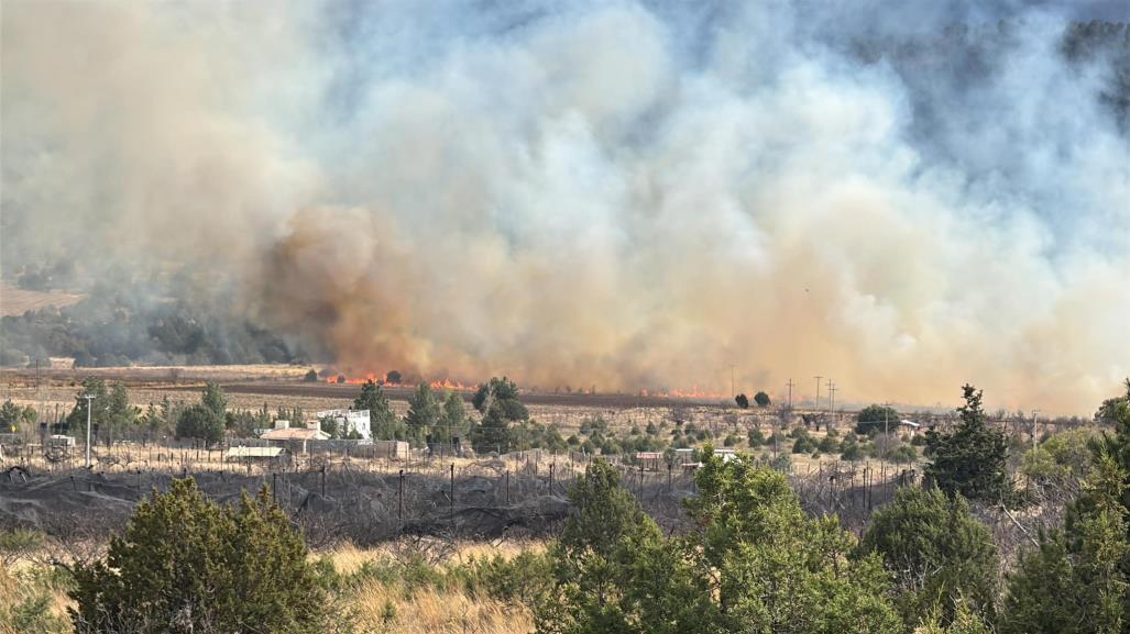 Combaten incendio en San Juan de los Dolores en Arteaga