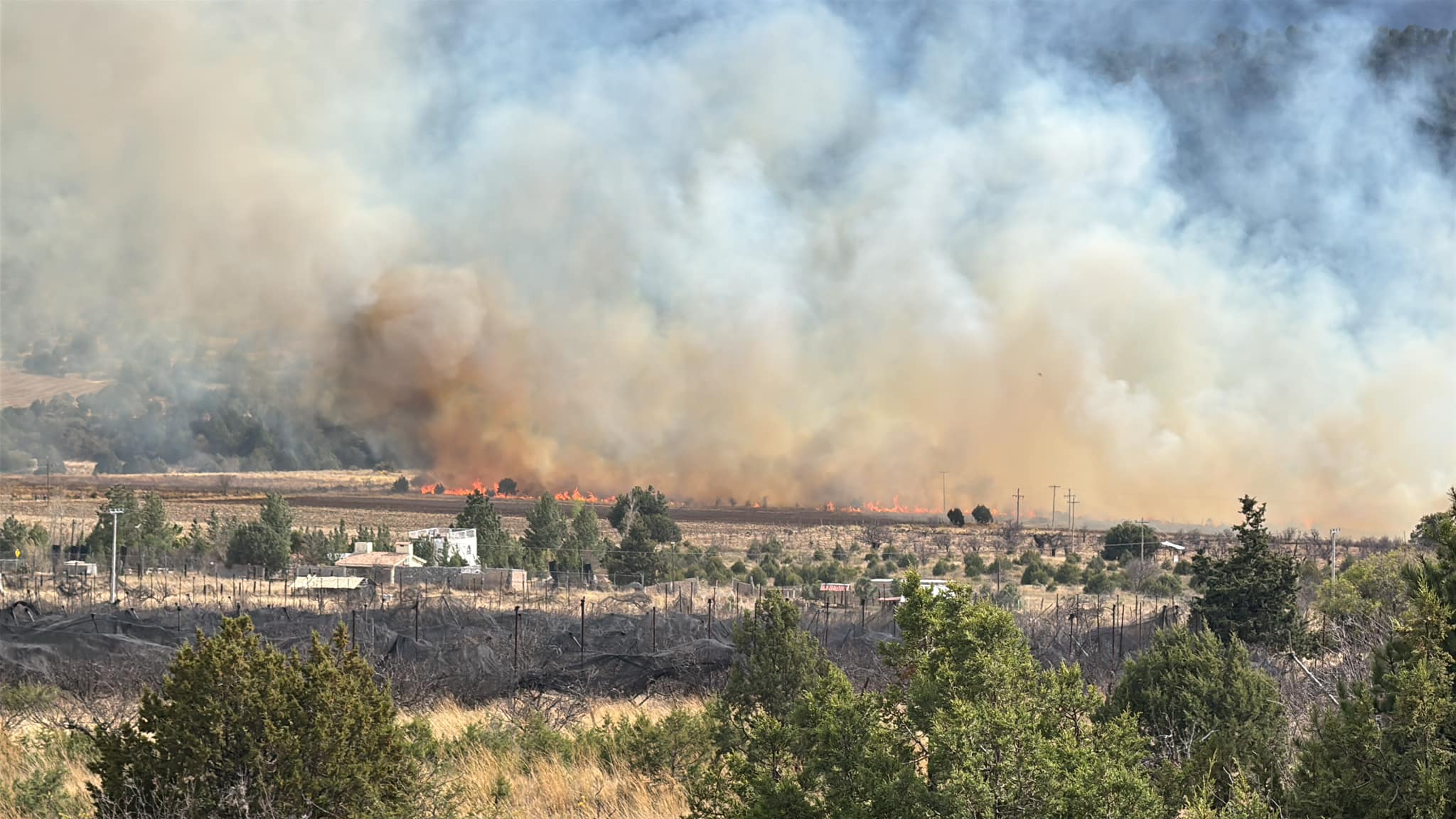 Combaten incendio en San Juan de los Dolores en Arteaga