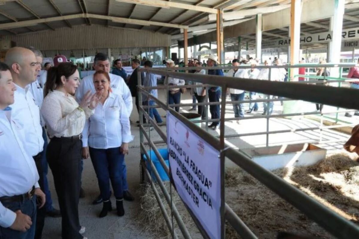 El apoyo continúa para los ganaderos de Nuevo Laredo, Tamaulipas | Foto: redes sociales