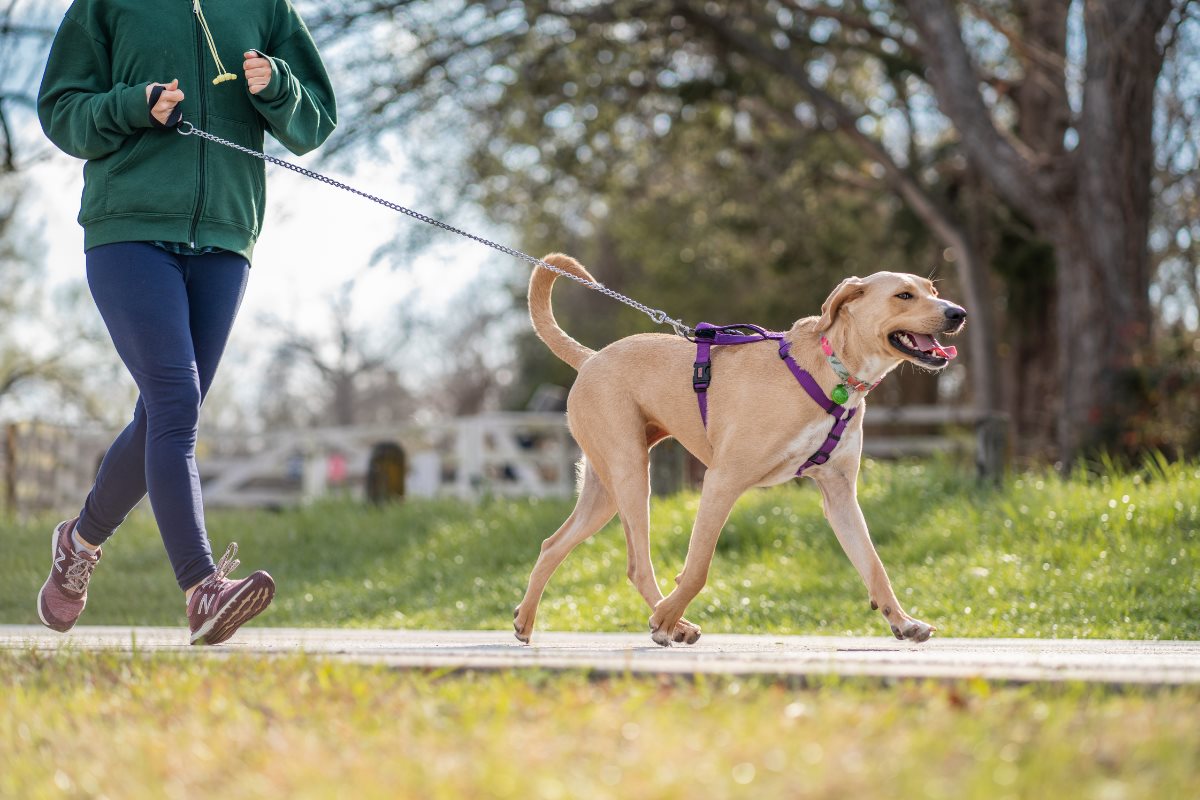 Persona corriendo con su perrito. Foto: Canva