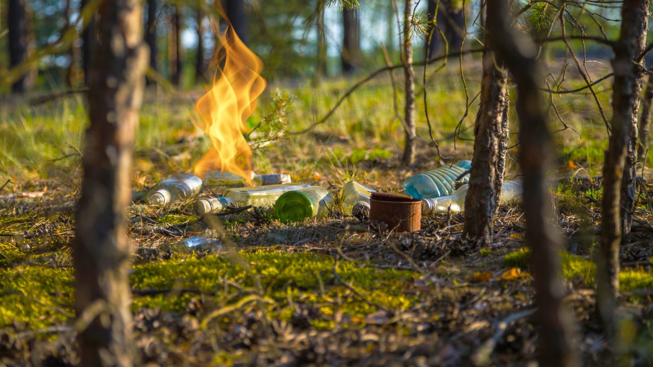 ¿Una botella de vidrio puede causar incendios forestales en Durango?