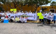 Veterinarios de Yucatán se manifiestan contra de la violencia por el asesinato de Héctor Hernández