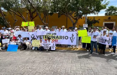Veterinarios de Yucatán se manifiestan contra de la violencia por el asesinato de Héctor Hernández