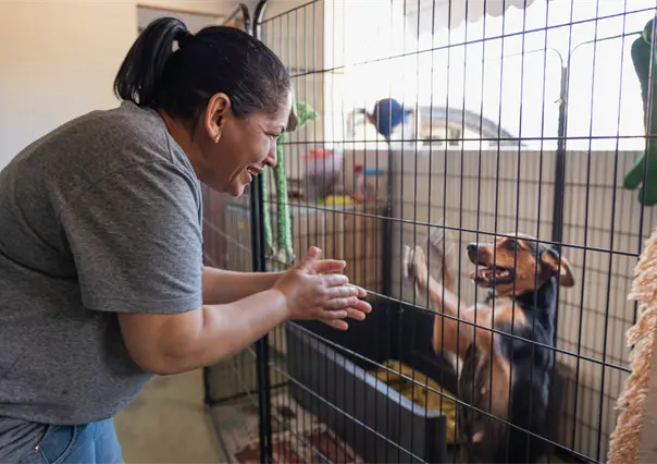 DIF Salinas Victoria ofrece esterilización gratuita de mascotas