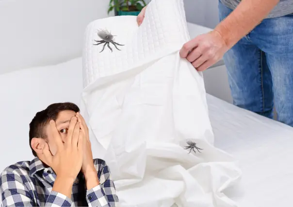 Dile adiós a los ácaros en las almohadas con este truco infalible