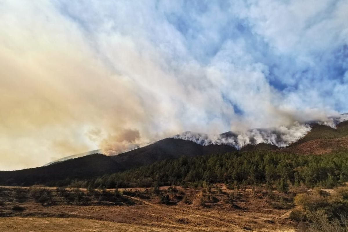 Luego de la labor de búsqueda de zonas de ocurrencia se han identificado las zonas de riesgo de incendios forestales en el estado/Foto: Protección Civil de Nuevo León