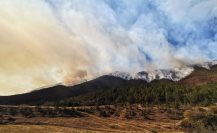 Estas son las zonas más propensas a incendios forestales en Nuevo León