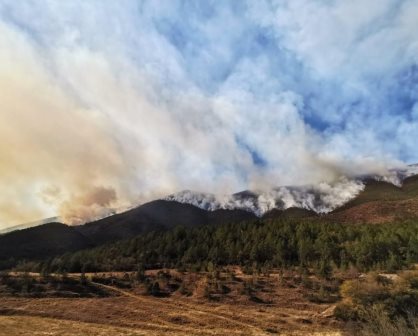 Estas son las zonas más propensas a incendios forestales en Nuevo León