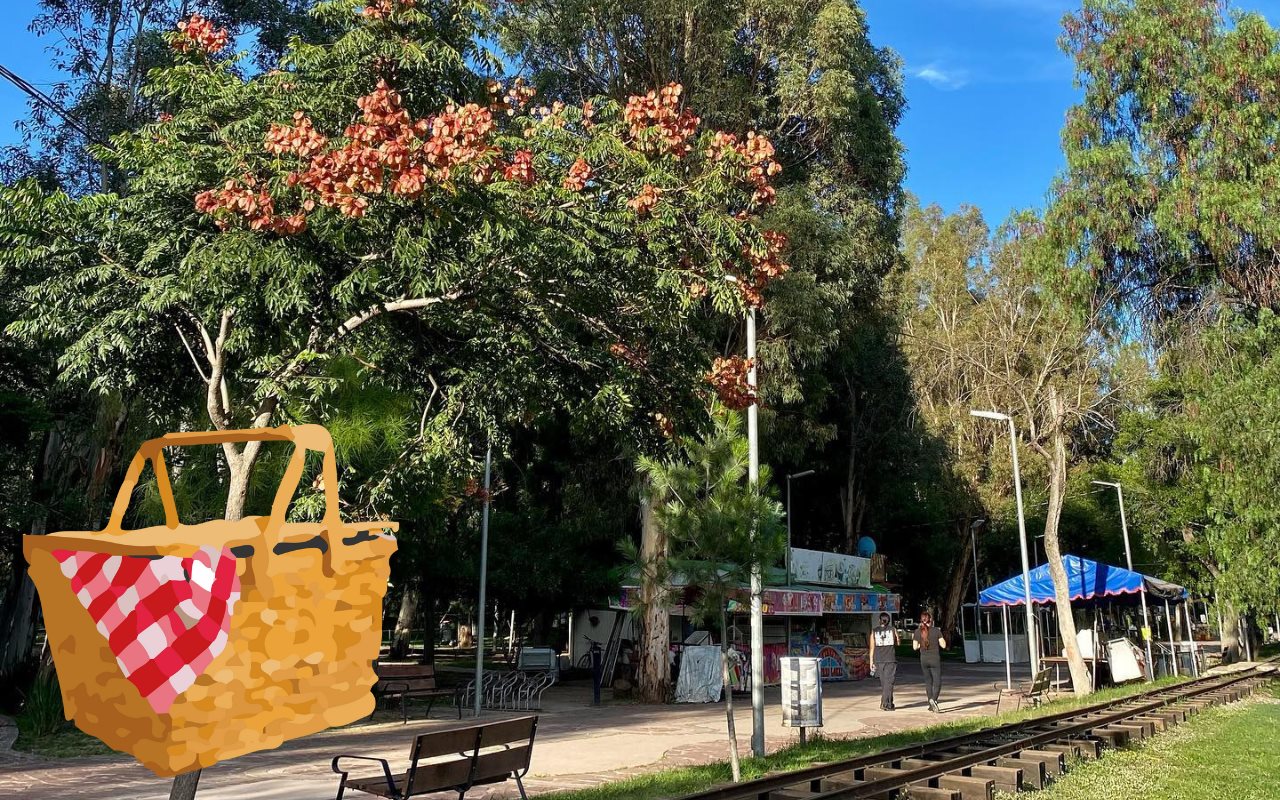 El Parque Guadiana es considerado el pulmón de la capital del estado debido a la cantidad de especies de árboles. Foto: Turismo Durango.