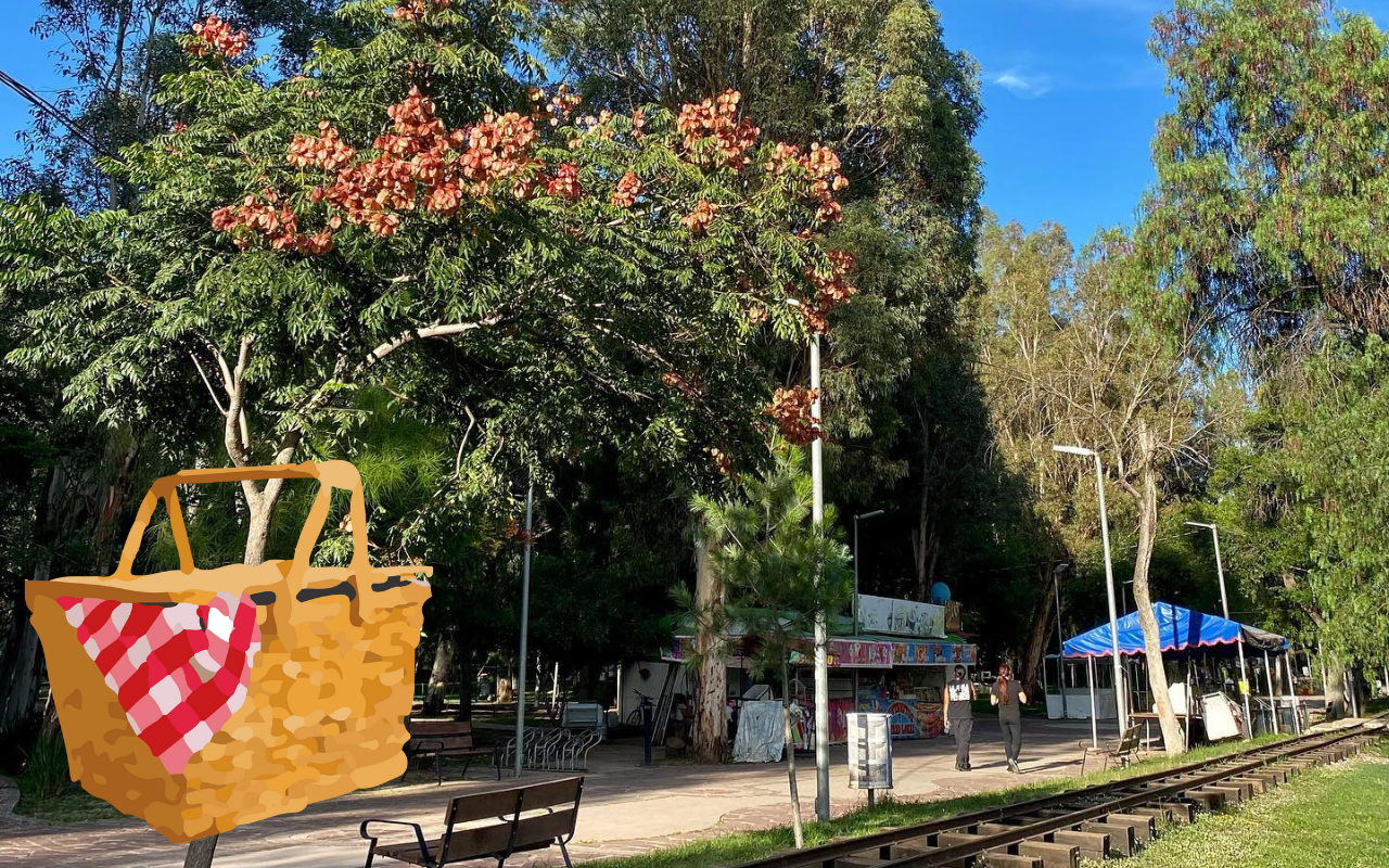 Haz tu día de campo en el Parque Guadiana; este es el mejor lugar, según sus visitantes