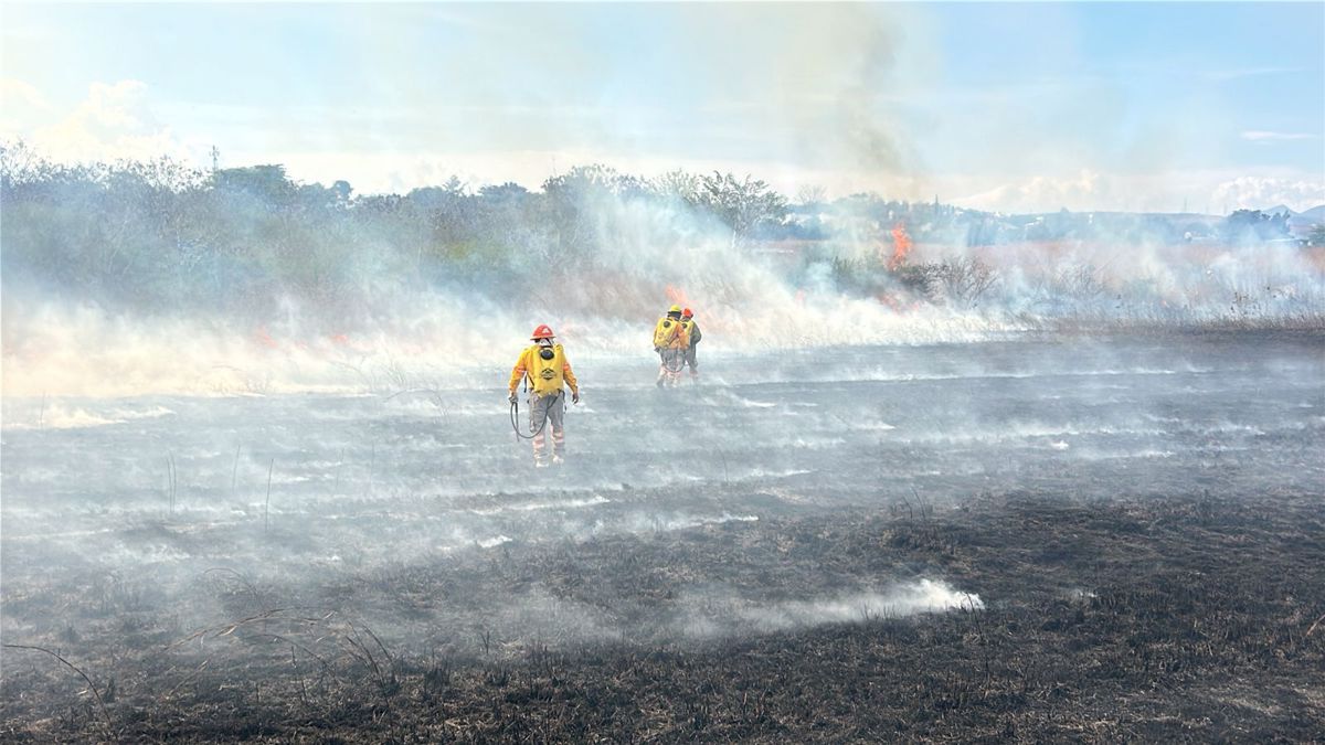 Foto: Protección Civil