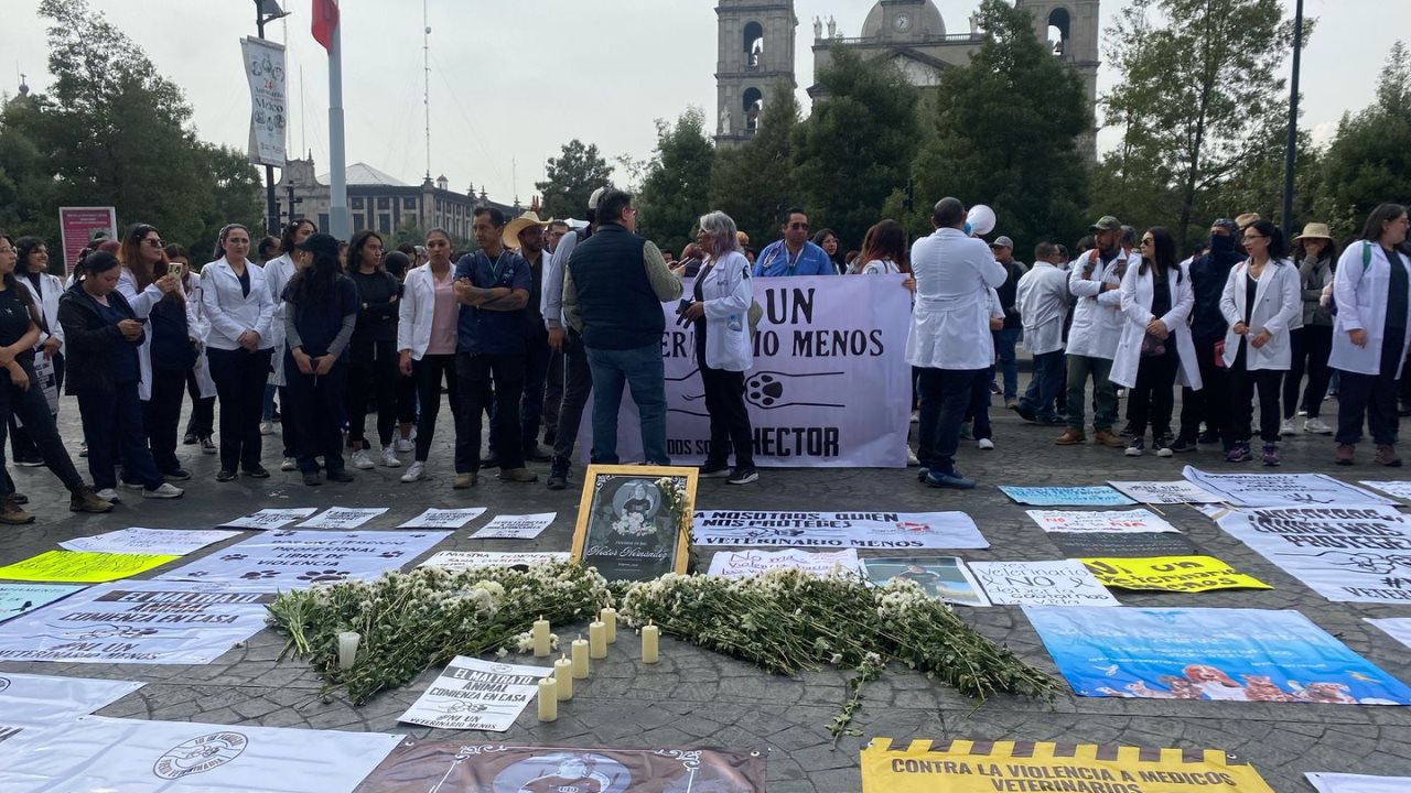 Médicos veterinarios protestaron frente al Palacio de Gobierno de Toluca para exigir justicia por el asesinato de su colega Héctor Hernández. Foto: Posta