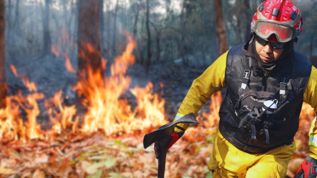 Incendios forestales en Nuevo León: ¿Qué es la veda de fuego?