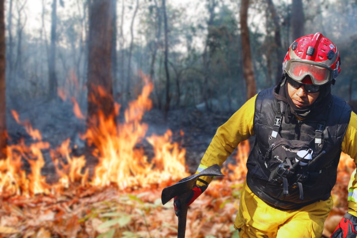 El decreto de veda de fuego es parte de una estrategia para contrarrestar los incendios en Nuevo León/ Foto: Source.