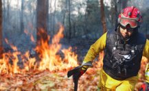 Incendios forestales en Nuevo León: ¿Qué es la veda de fuego?