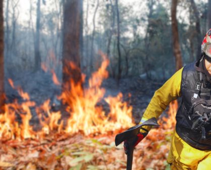 Incendios forestales en Nuevo León: ¿Qué es la veda de fuego?