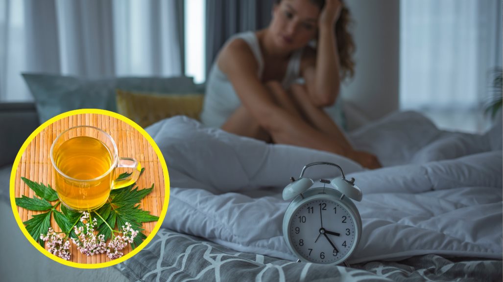 ¿Insomnio? Esta hierba medicinal lo desaparecerá por completo