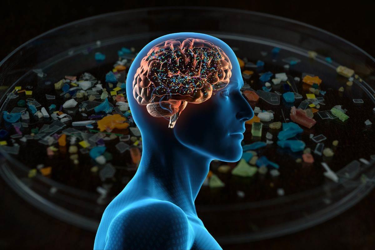 Microplásticos en el cerebro humano alcanzan niveles alarmantes, superando hígado y riñones, según estudio en Nature Medicine. Foto: Canva