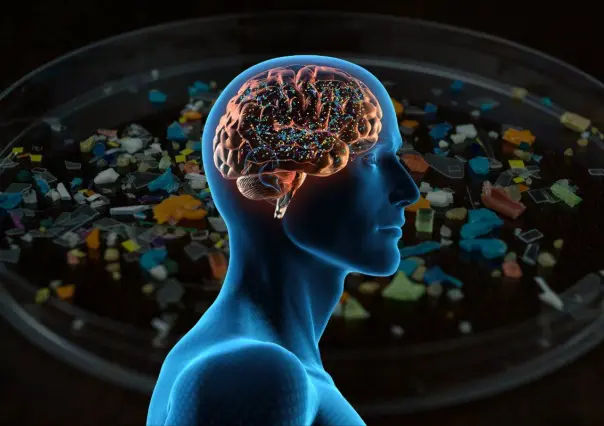 ¿Qué son los microplásticos y por qué científicos advierten que invaden el cerebro?