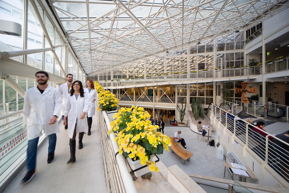 Este hospital pertenece a una universidad. Foto: UNICatt.