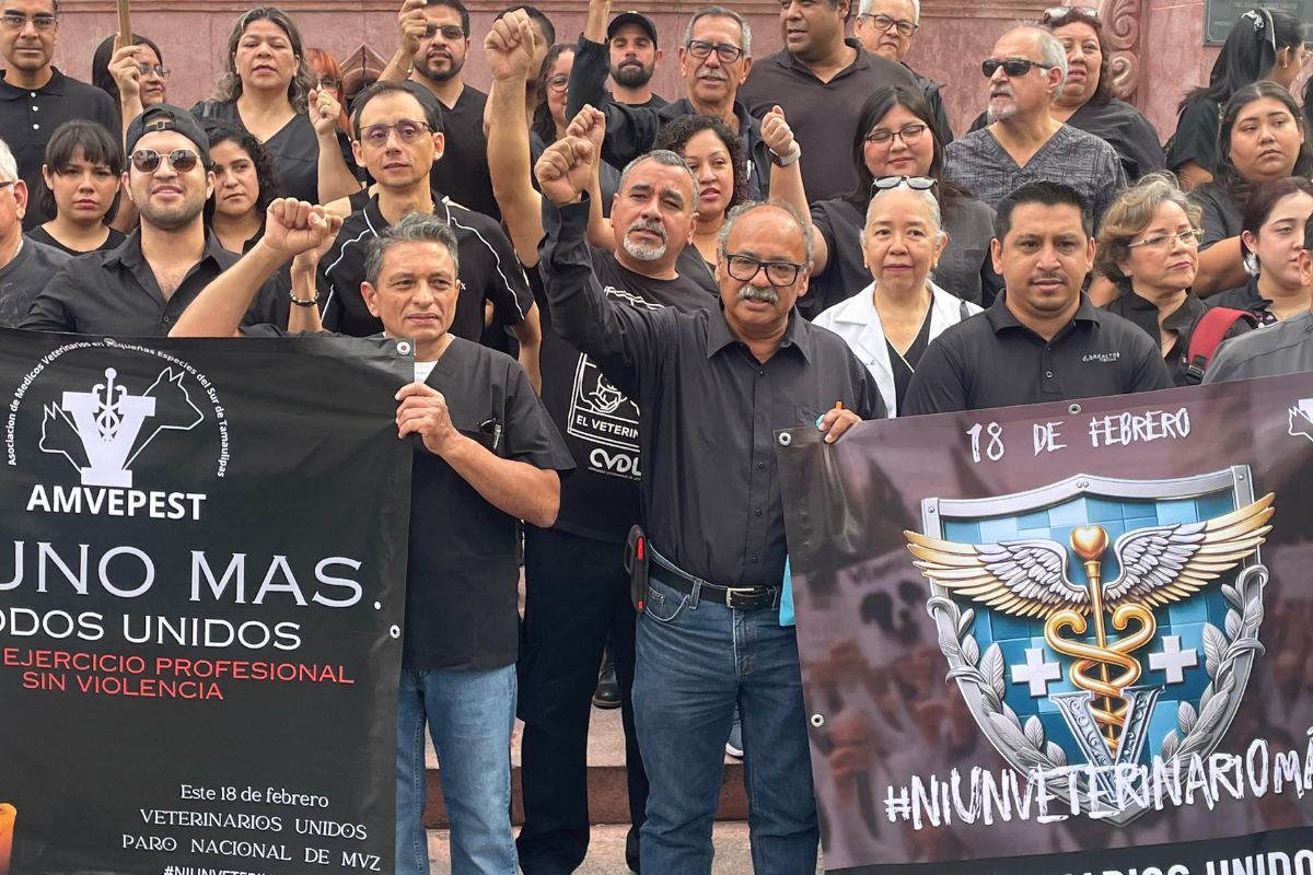 Médicos veterinarios de Tamaulipas se unieron al paro nacional tras el asesinato de su colega Héctor en el Estado de México. Foto: Axel Hassel