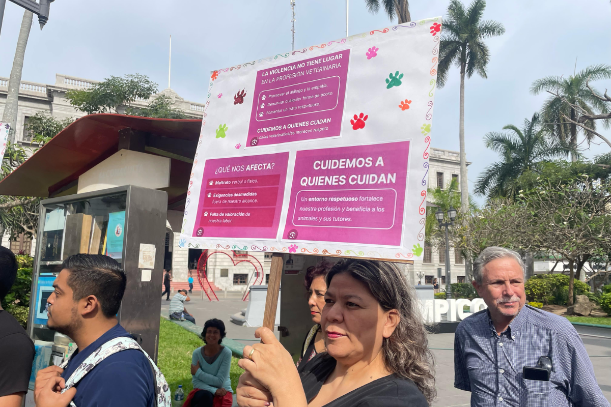 Paro de médicos veterinarios en el sur de Tamaulipas. Foto: Axel Hassel