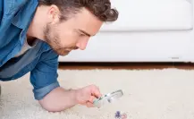 Ácaros, ¿solo se acumulan en la cama?