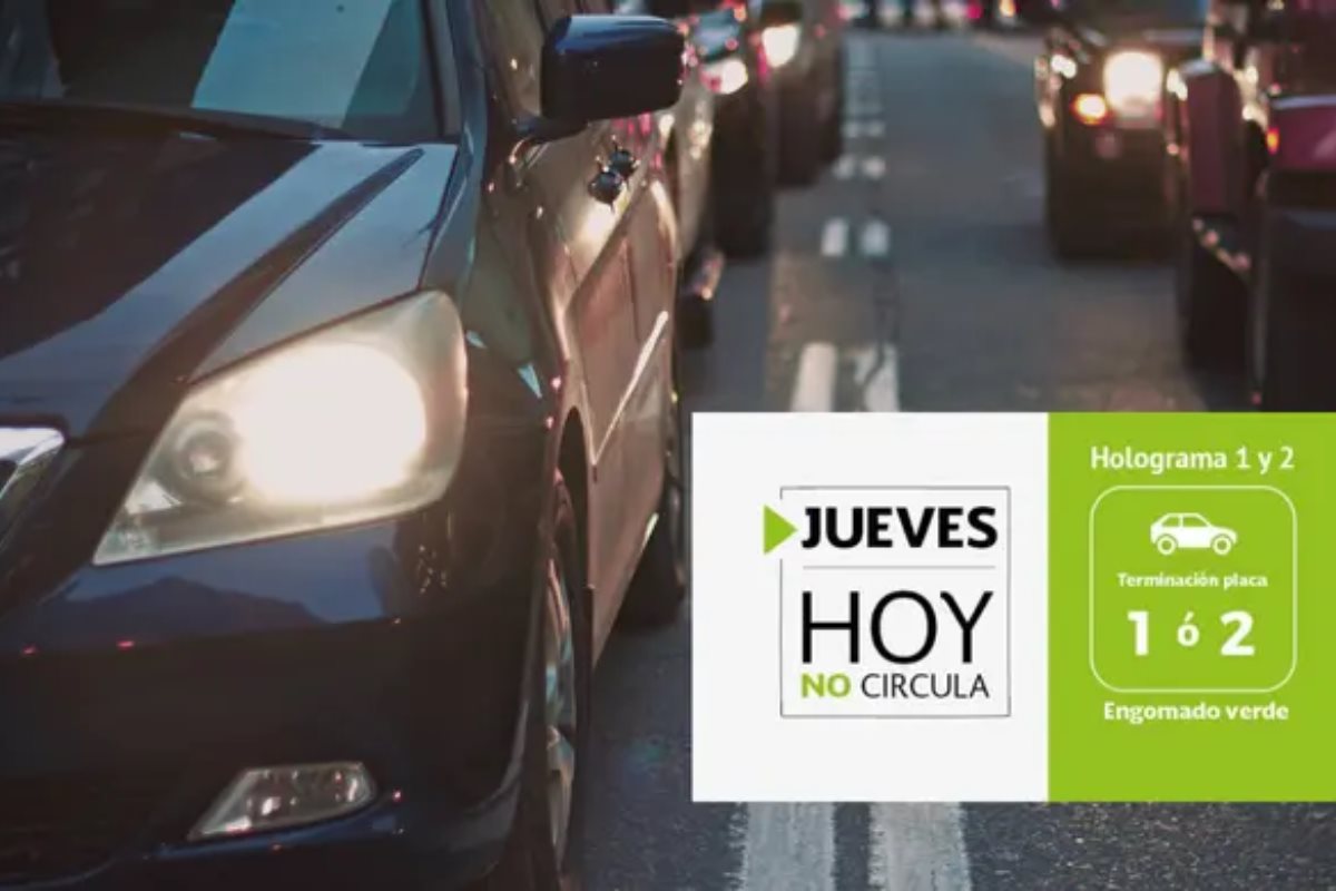 Autos en CDMX y logo de Megalópolis | Canva