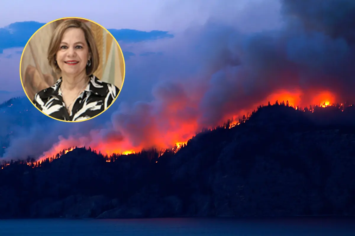 Las condiciones climáticas y la acumulación de material seco en la Sierra de Arteaga y otras zonas boscosas hacen que el riesgo de incendios sea crítico en 2025./Foto: Gobierno del Estado/ Canva