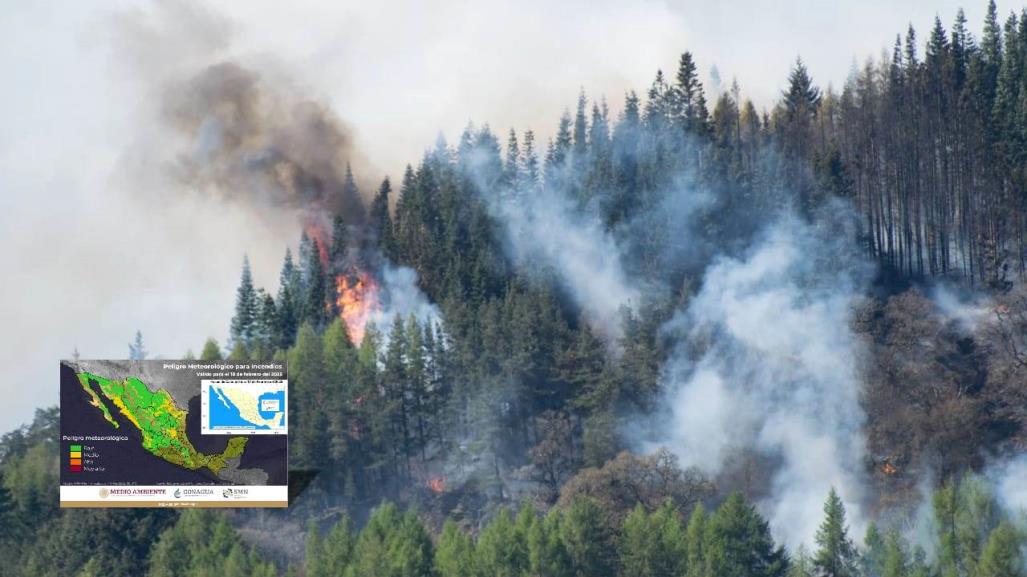 Durango, de los más afectados por incendios forestales en lo que va de 2025