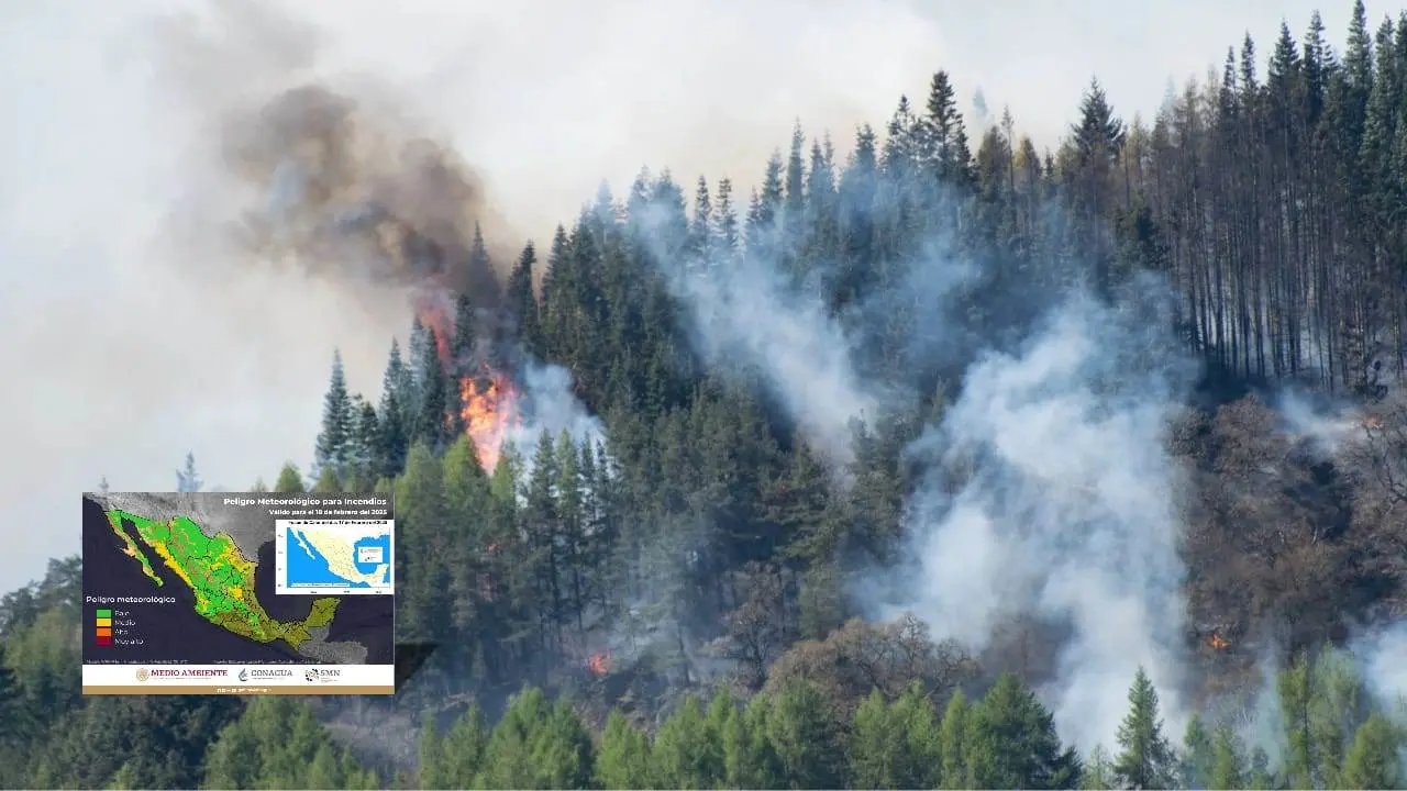 Durango ya con afectaciones por incendios forestales en lo que va del año | Foto: Conagua (mapa) / Canva (imagen ilustrativa).