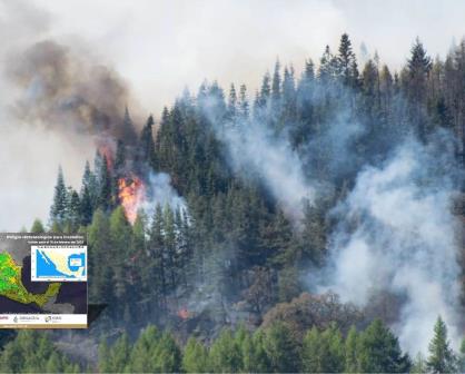 Durango, de los más afectados por incendios forestales en lo que va de 2025