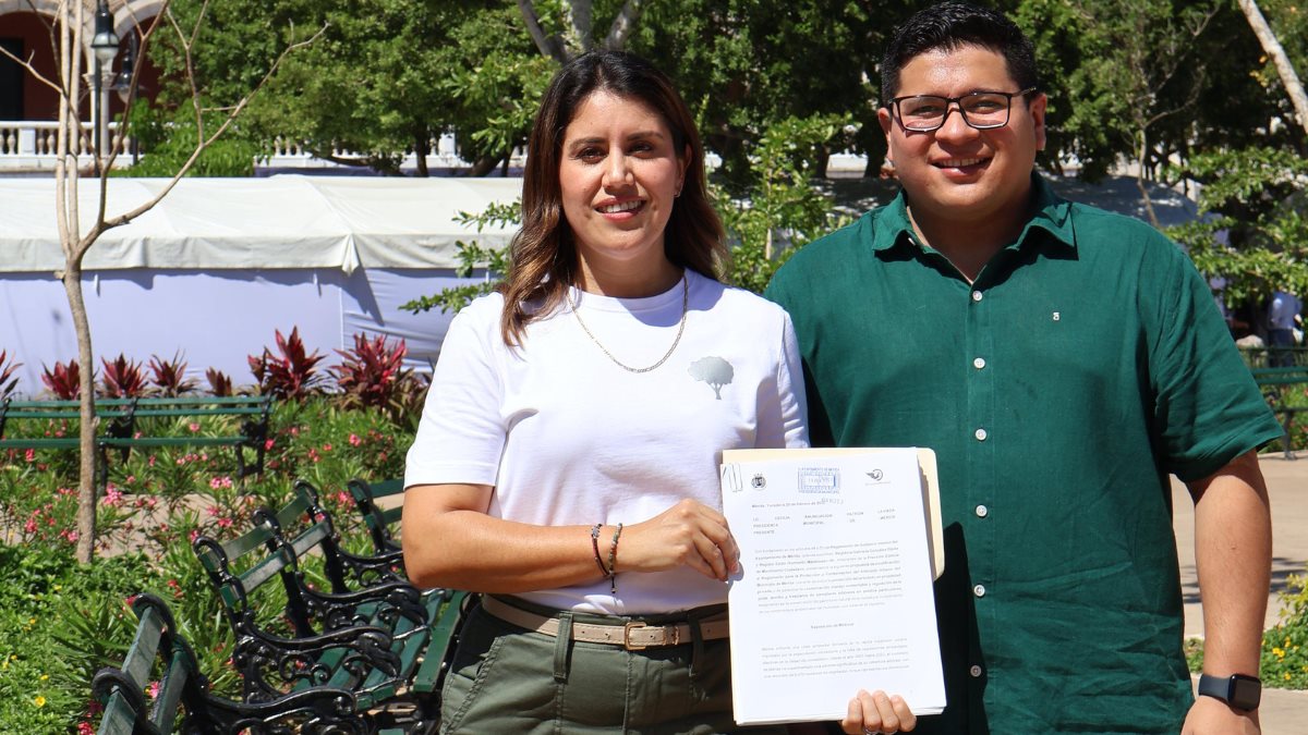 La propuesta surge de una petición vecinal para proteger un árbol en Cholul Foto: Cortesía